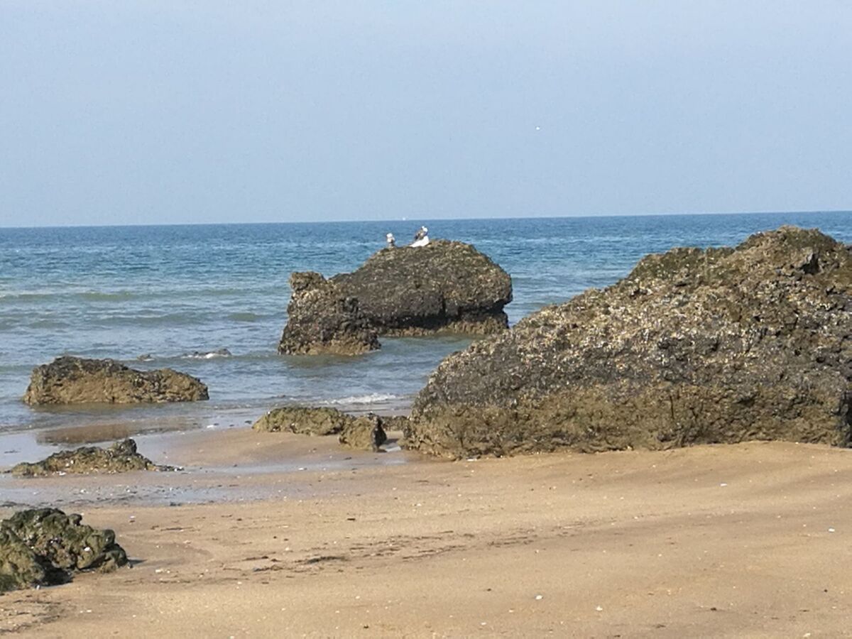Studio lumineux 2 pers. à 200m de la plage - Photo 18