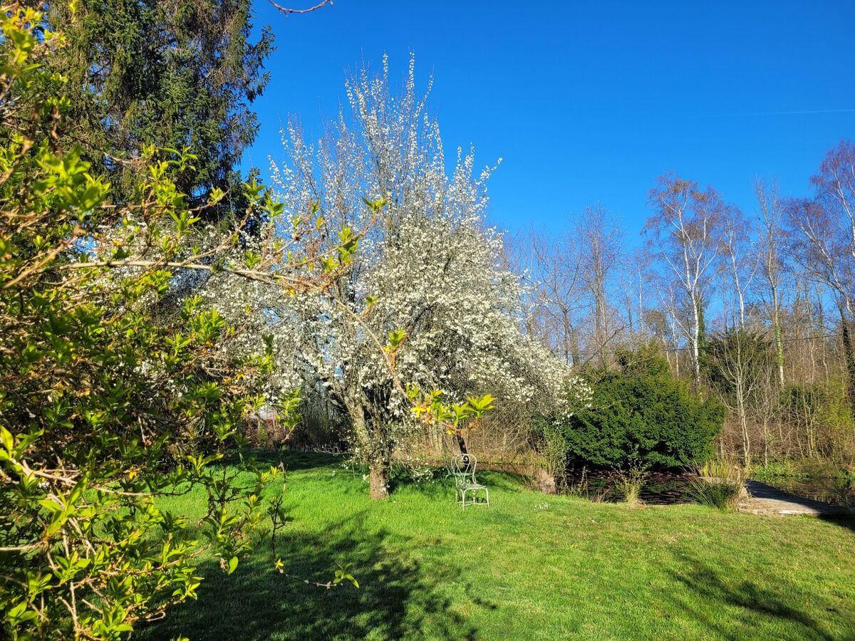 Maison à colombages 4 chambres avec jardin privatif à Cambremer - Photo 24