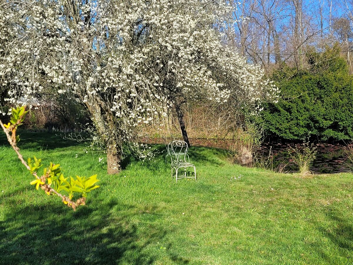 Maison à colombages 4 chambres avec jardin privatif à Cambremer - Photo 26