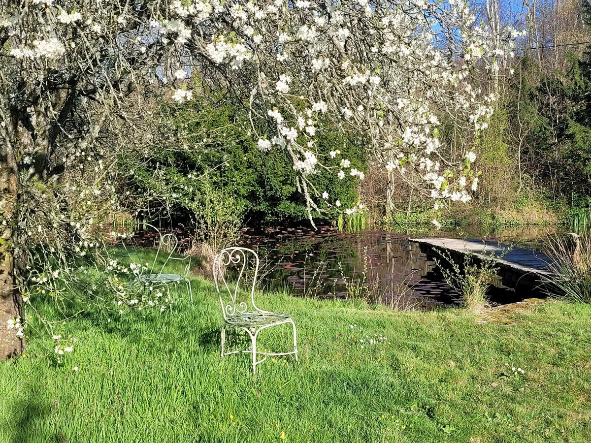 Maison à colombages 4 chambres avec jardin privatif à Cambremer - Photo 27
