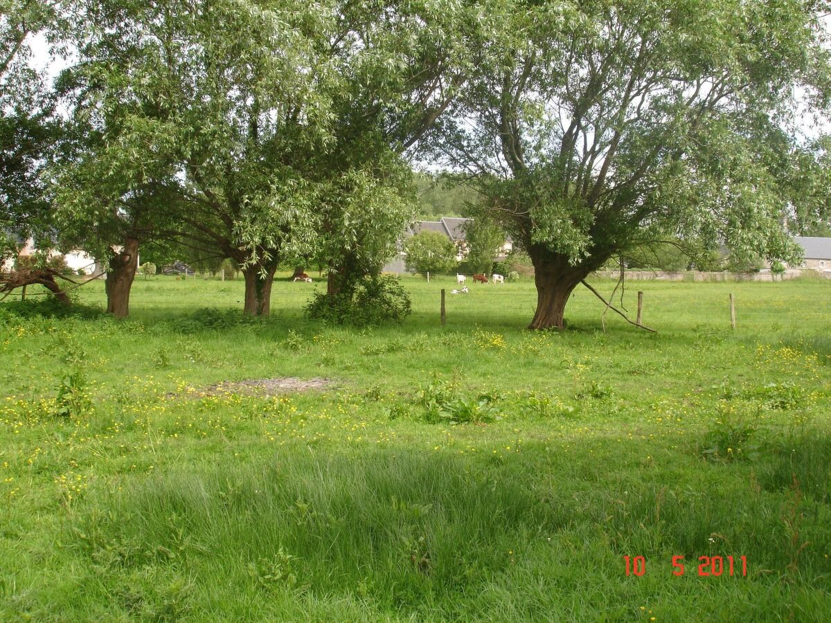 Pavillon 65 m² avec terrain clos 800 m² à Hauteville - Photo 13