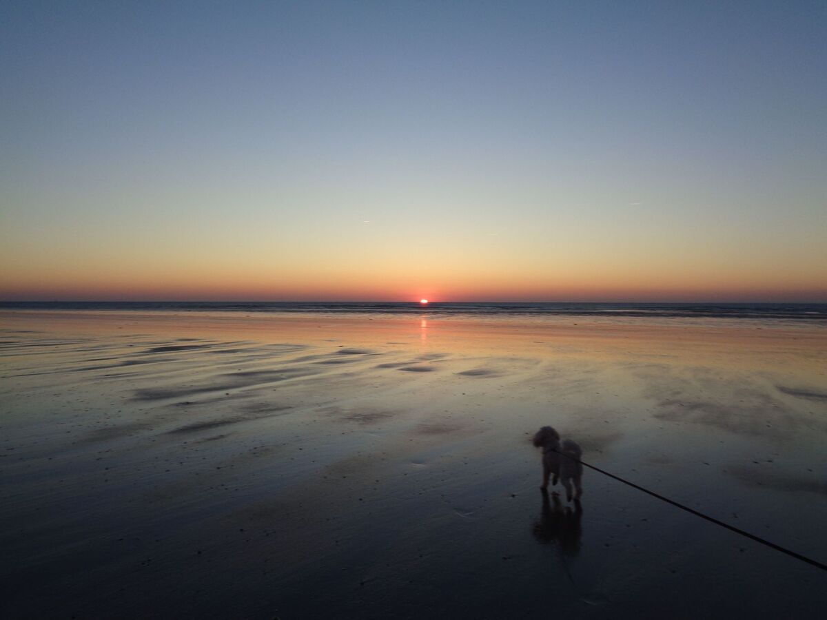 Le Crépuscule : maison 7 pers. à 300 m de la plage - Photo 2