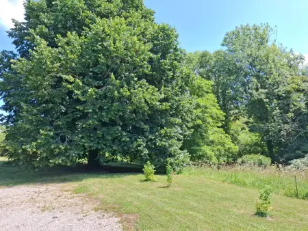 Le Bois aux Ecureuils (Eichhörnchenwald), Maison 5 personnes à Denneville - Photo 43