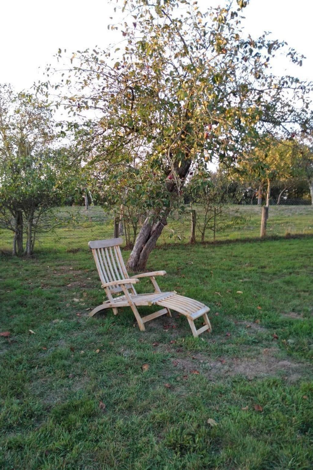 La Ferme Blanche – Maison 8 personnes à Putanges - Photo 14