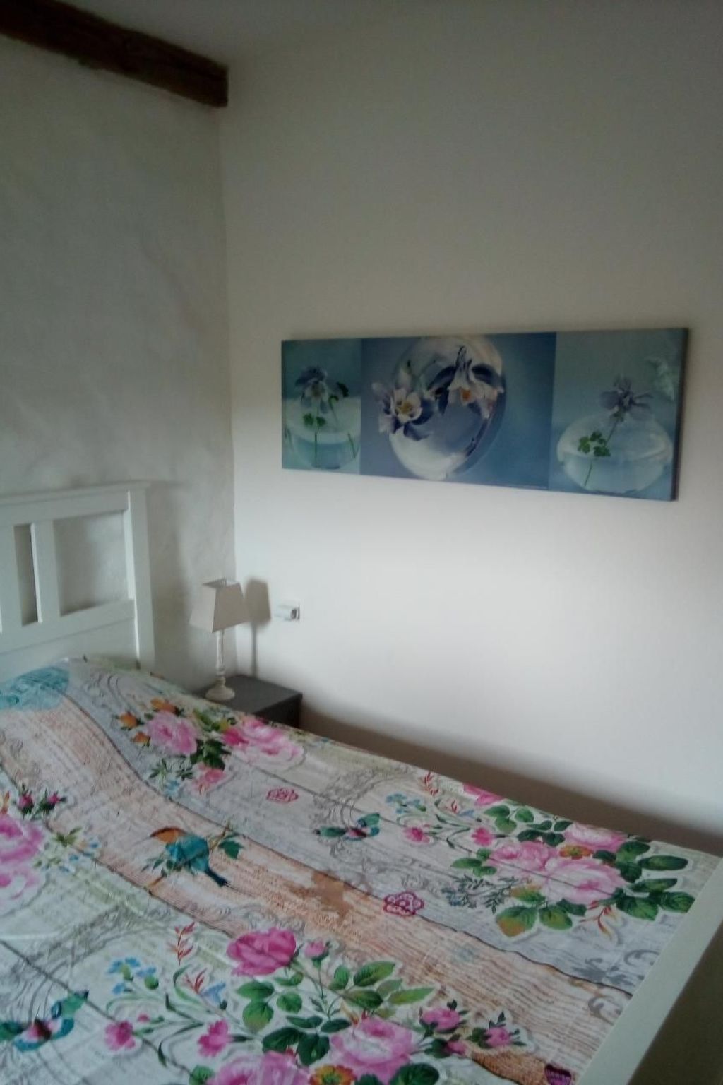 Gite Rouge – Maison 8 pers., 3000 m² de terrain à Putanges - Photo 8