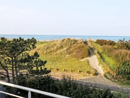 L'Escale dunes : maison de pêcheur à 20m de la plage : photo 9