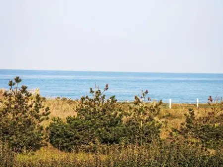 L'Escale dunes : maison de pêcheur à 20m de la plage : photo 10