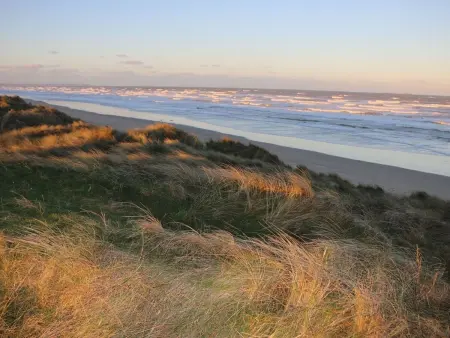 L'Escale dunes : maison de pêcheur à 20m de la plage : photo 49