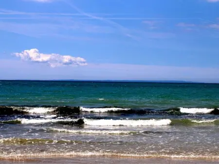 L'Escale dunes : maison de pêcheur à 20m de la plage : photo 50