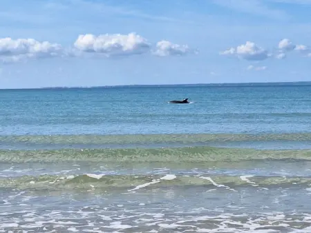L'Escale dunes : maison de pêcheur à 20m de la plage : photo 51