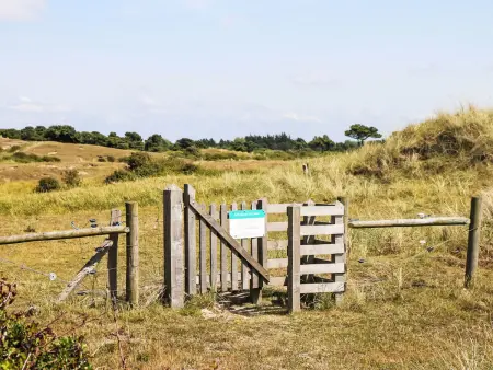 L'Escale dunes : maison de pêcheur à 20m de la plage : photo 54