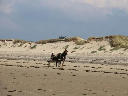 L'Escale dunes : maison de pêcheur à 20m de la plage : photo 55