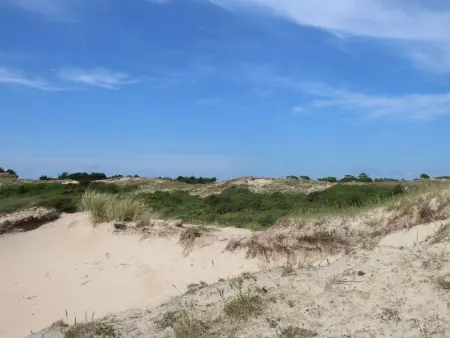 L'Escale dunes : maison de pêcheur à 20m de la plage : photo 56