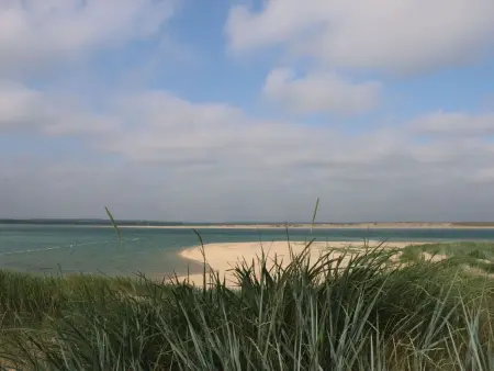 L'Escale dunes : maison de pêcheur à 20m de la plage : photo 59