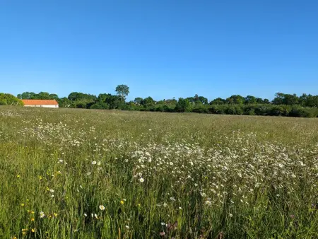 Estate  Le Pressoir  (Die Kelterei), Maison 4 personnes à Bretteville sur Ay - Photo 16