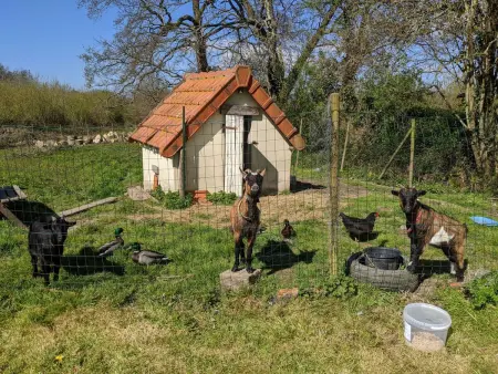 in Vesly mit Beheiztem gemeinsamem Pool, Maison 5 personnes à Bretteville sur Ay - Photo 20
