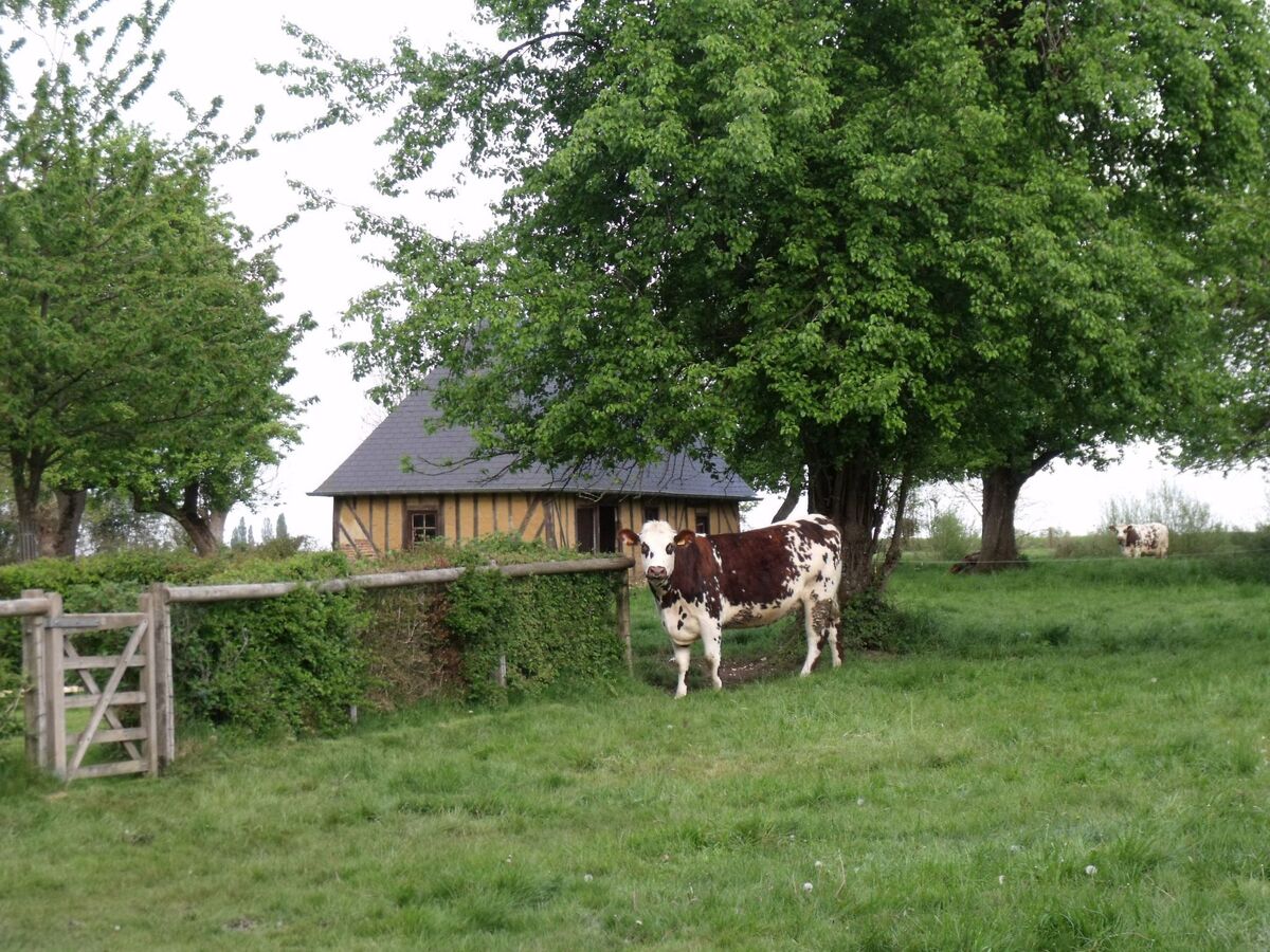 La Petite Cauvinière, maison en lisière de bois - Photo 9