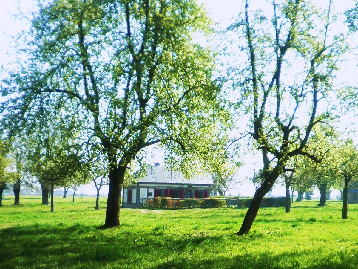 La Petite Cauvinière, maison en lisière de bois - Photo 13