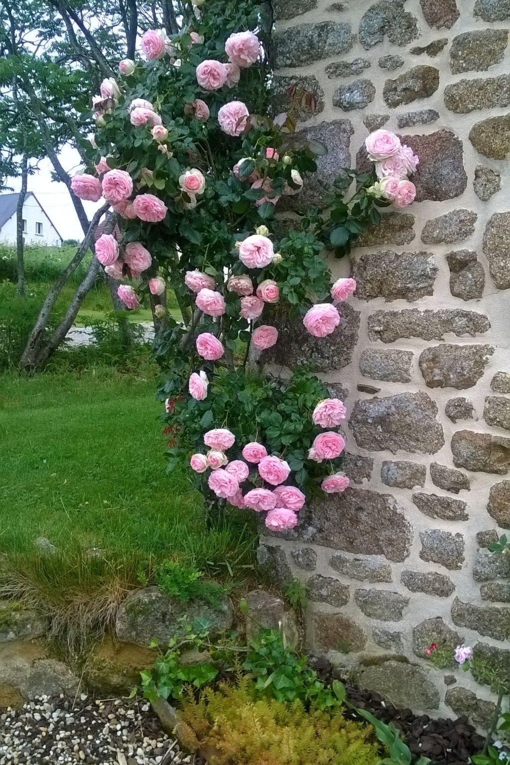 Finca Motje – Maison de charme à Domfront, 7 personnes - Photo 17