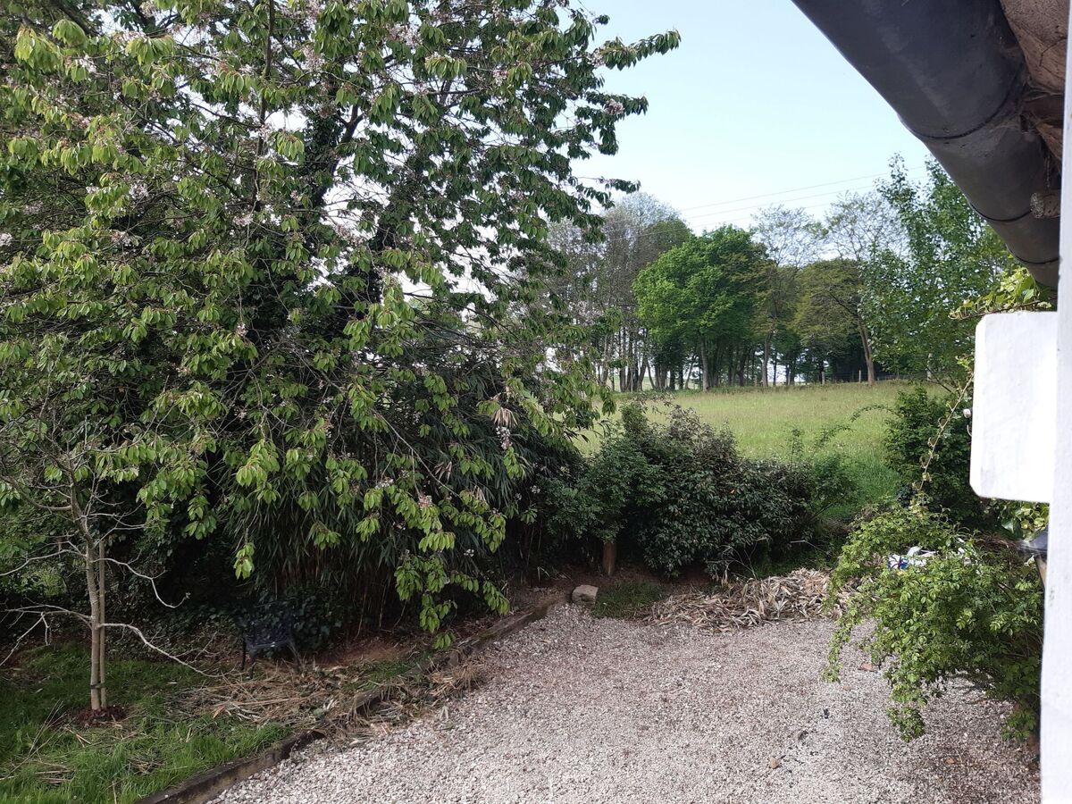 Finca Motje – Maison de charme à Domfront, 7 personnes - Photo 21