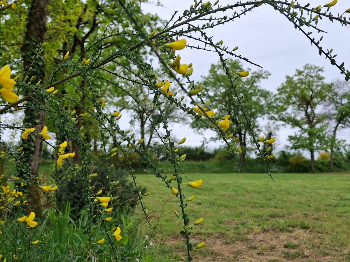 Cottage 4 pers. avec 3 couchages enfants à Mareuil-sur-Lay - Photo 10