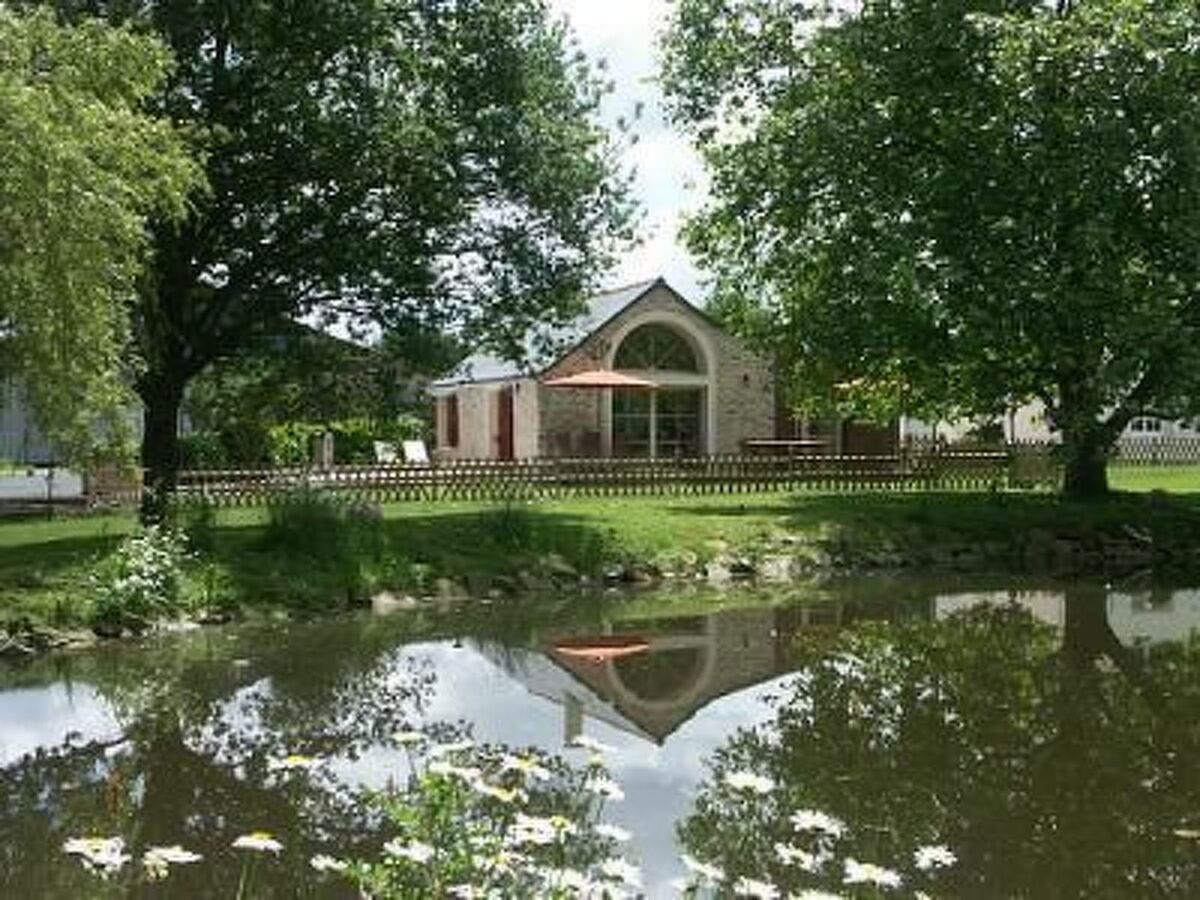 Au Bas Chalonge Gîte – Ancienne grange 8 hectares - Photo 8
