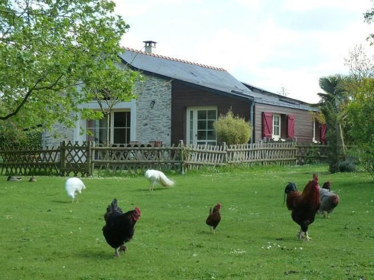 Au Bas Chalonge Gîte – Ancienne grange 8 hectares - Photo 20