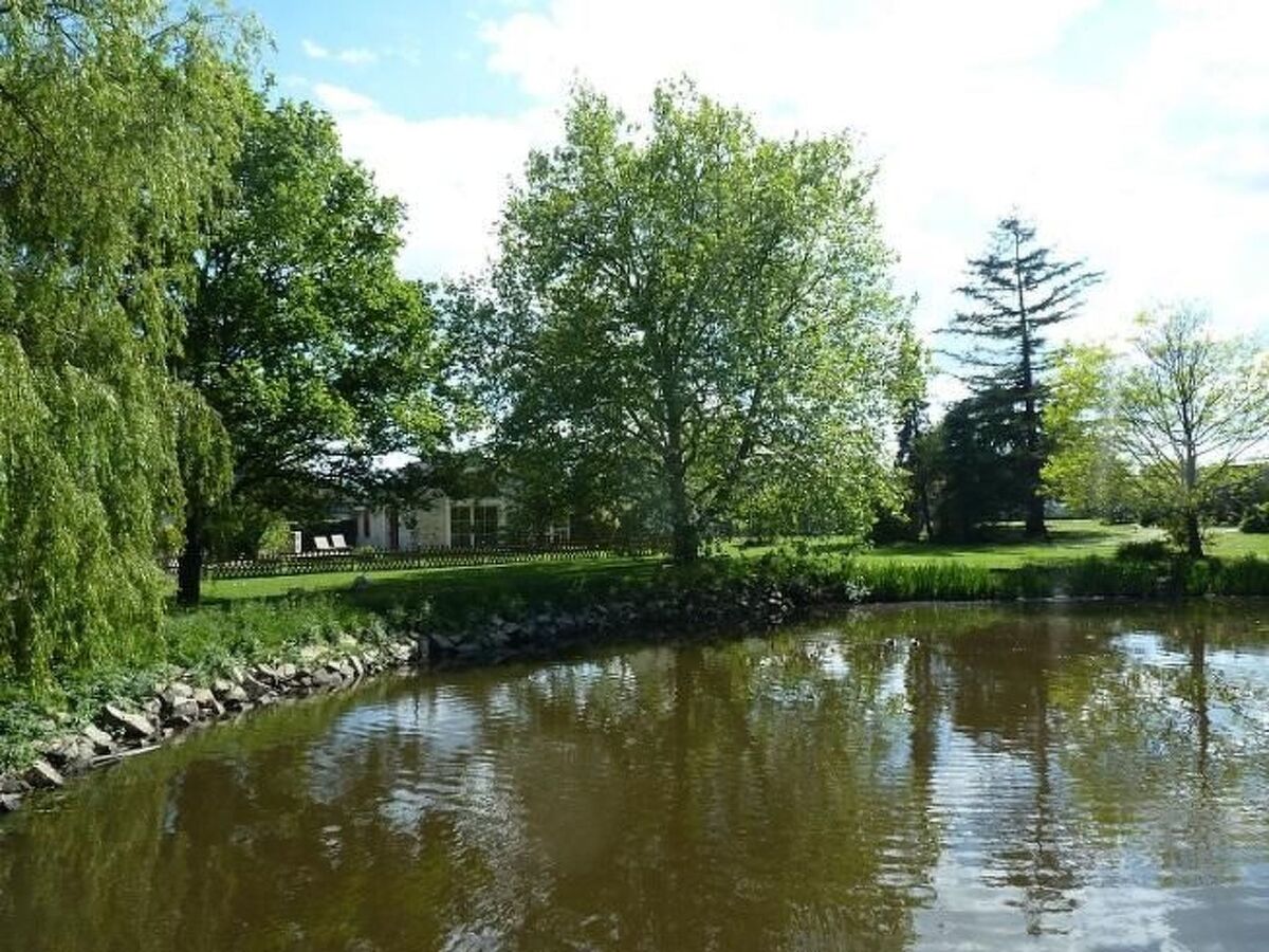 Au Bas Chalonge Gîte – Ancienne grange 8 hectares - Photo 21