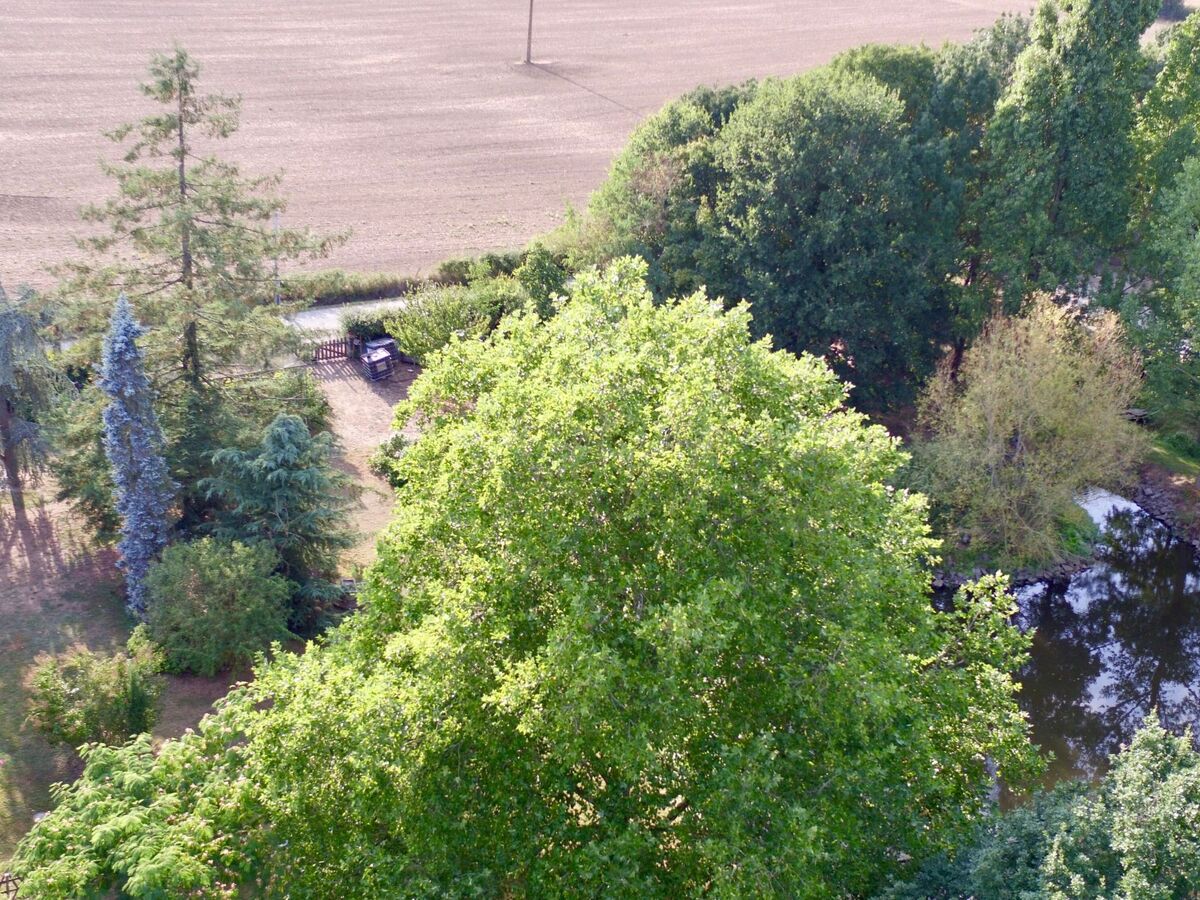Au Bas Chalonge Gîte – Ancienne grange 8 hectares - Photo 22