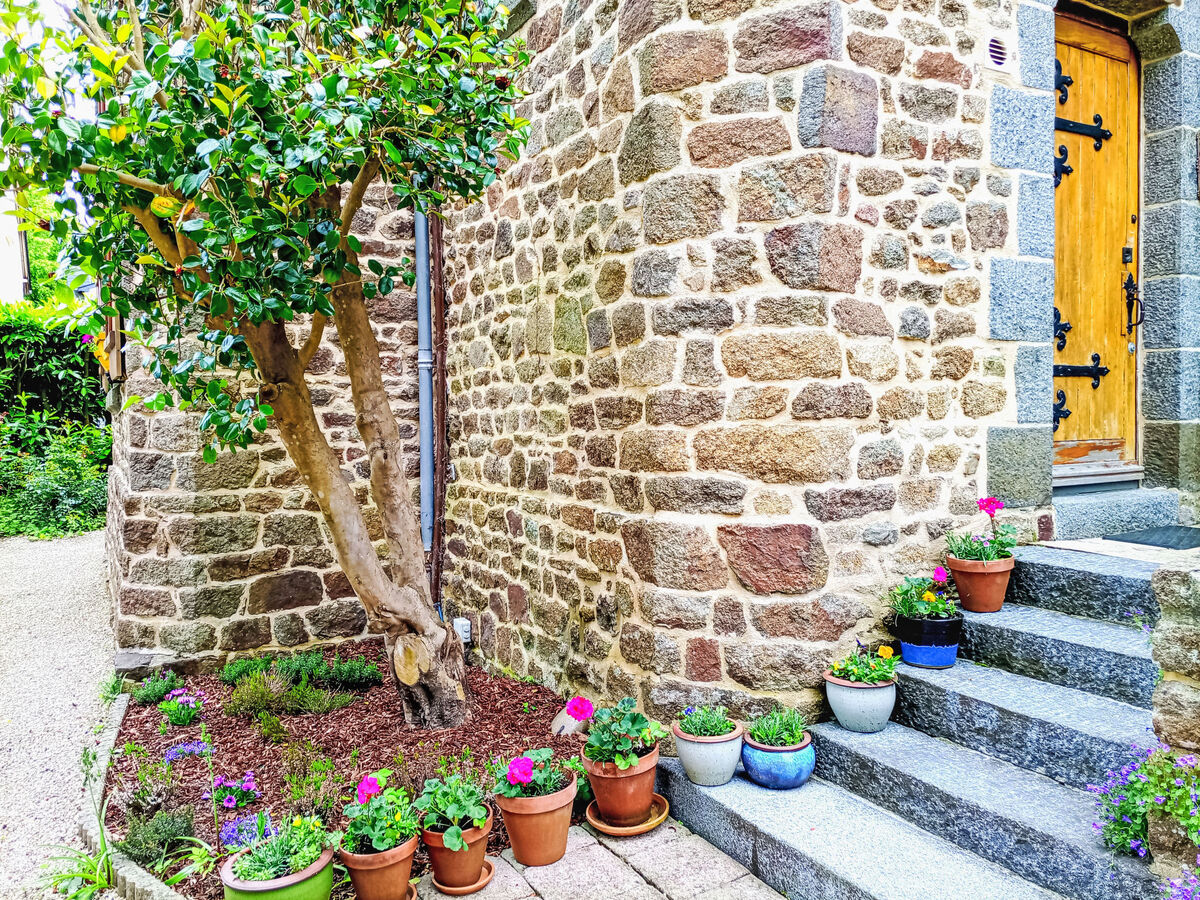 Villa La Côte du Chat – Maison 1904 en Bretagne - Photo 7