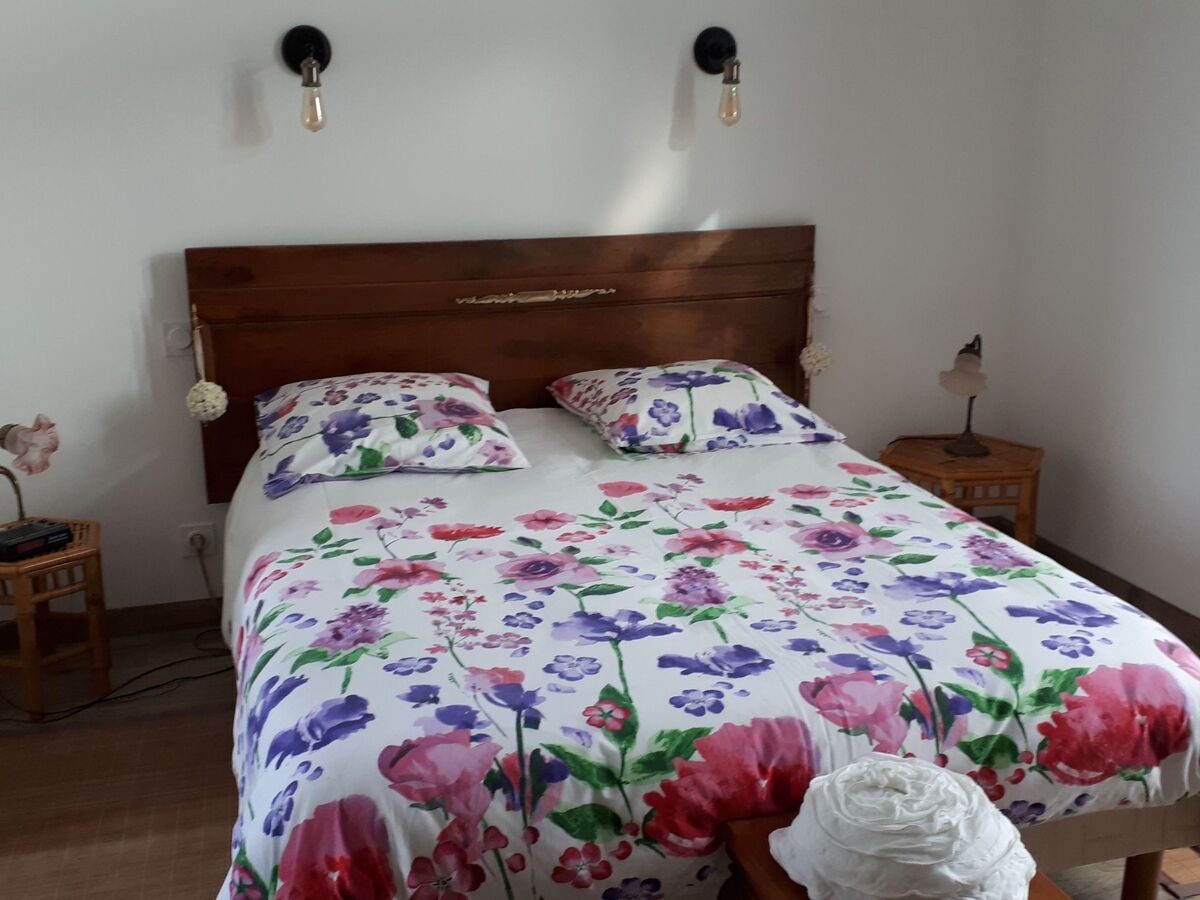 Suite de 20 m² à Sens de Bretagne, jardin 1 ha - Photo 10
