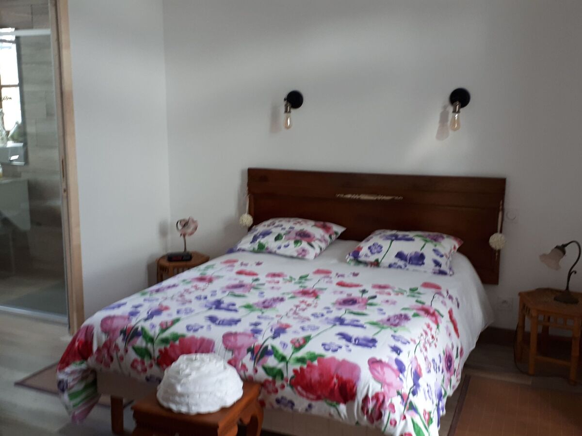 Suite de 20 m² à Sens de Bretagne, jardin 1 ha - Photo 11