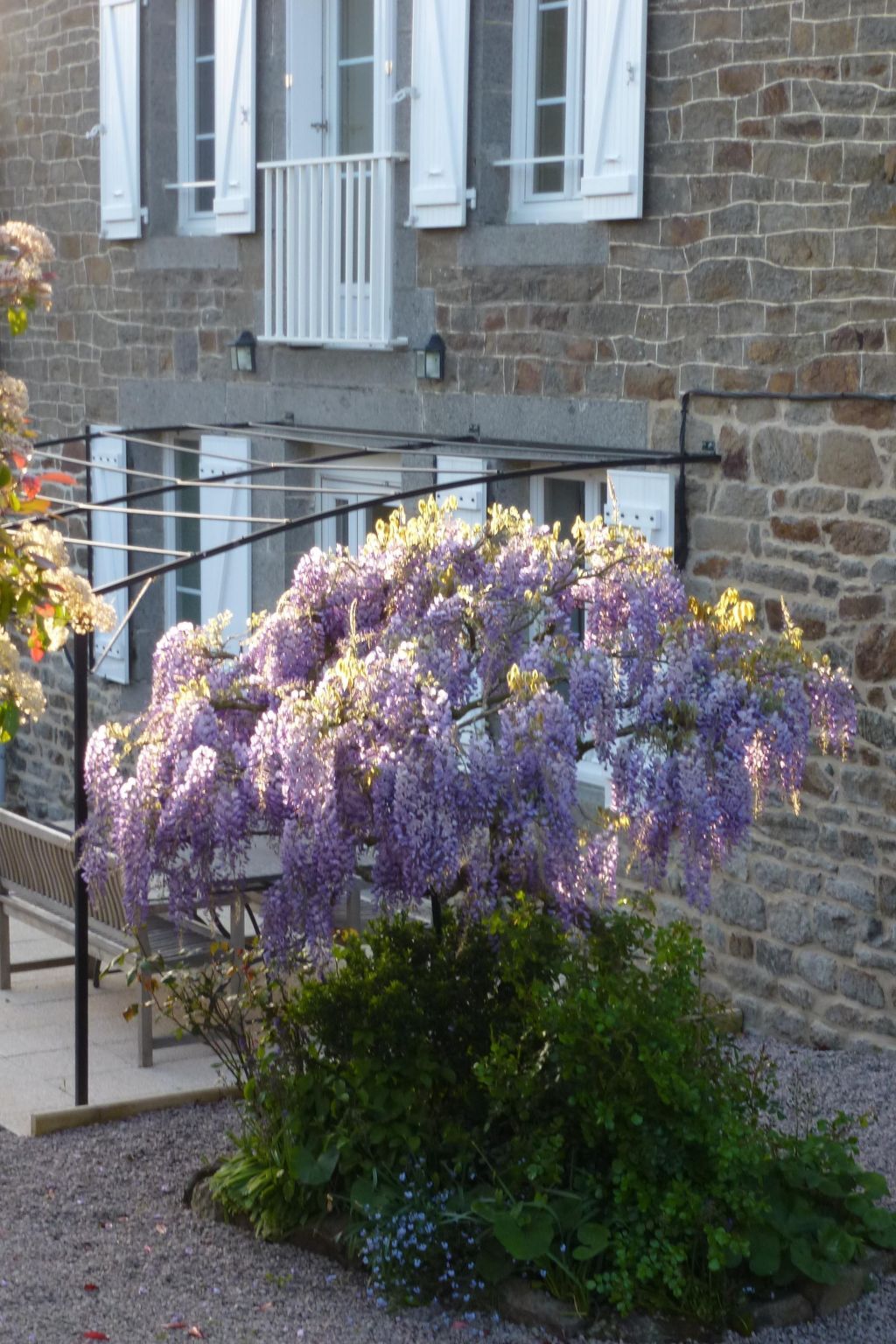 Le Roseraie - Maison 6 pers. en pierre à Pleudihen - Photo 18