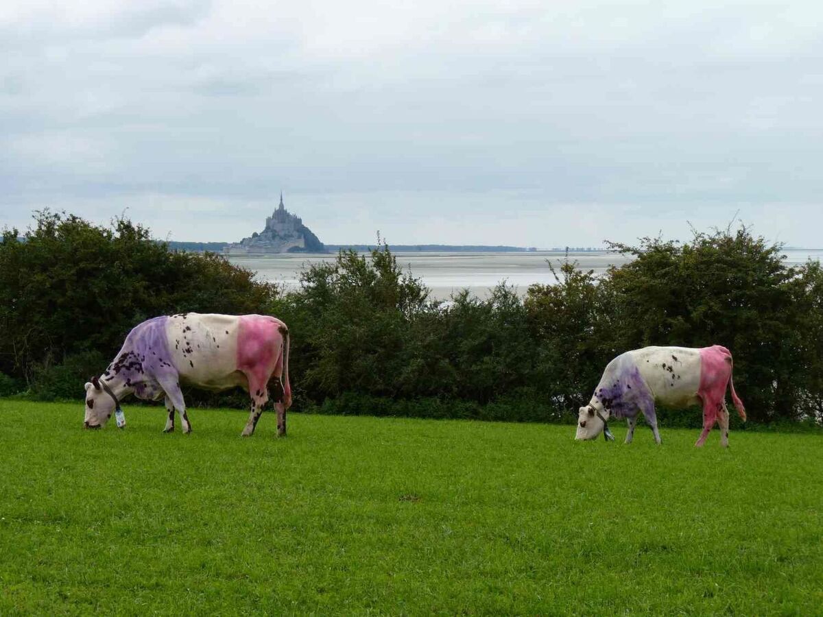 Ancien fournil du XVIIe siècle, domaine privé en Bretagne - Photo 17