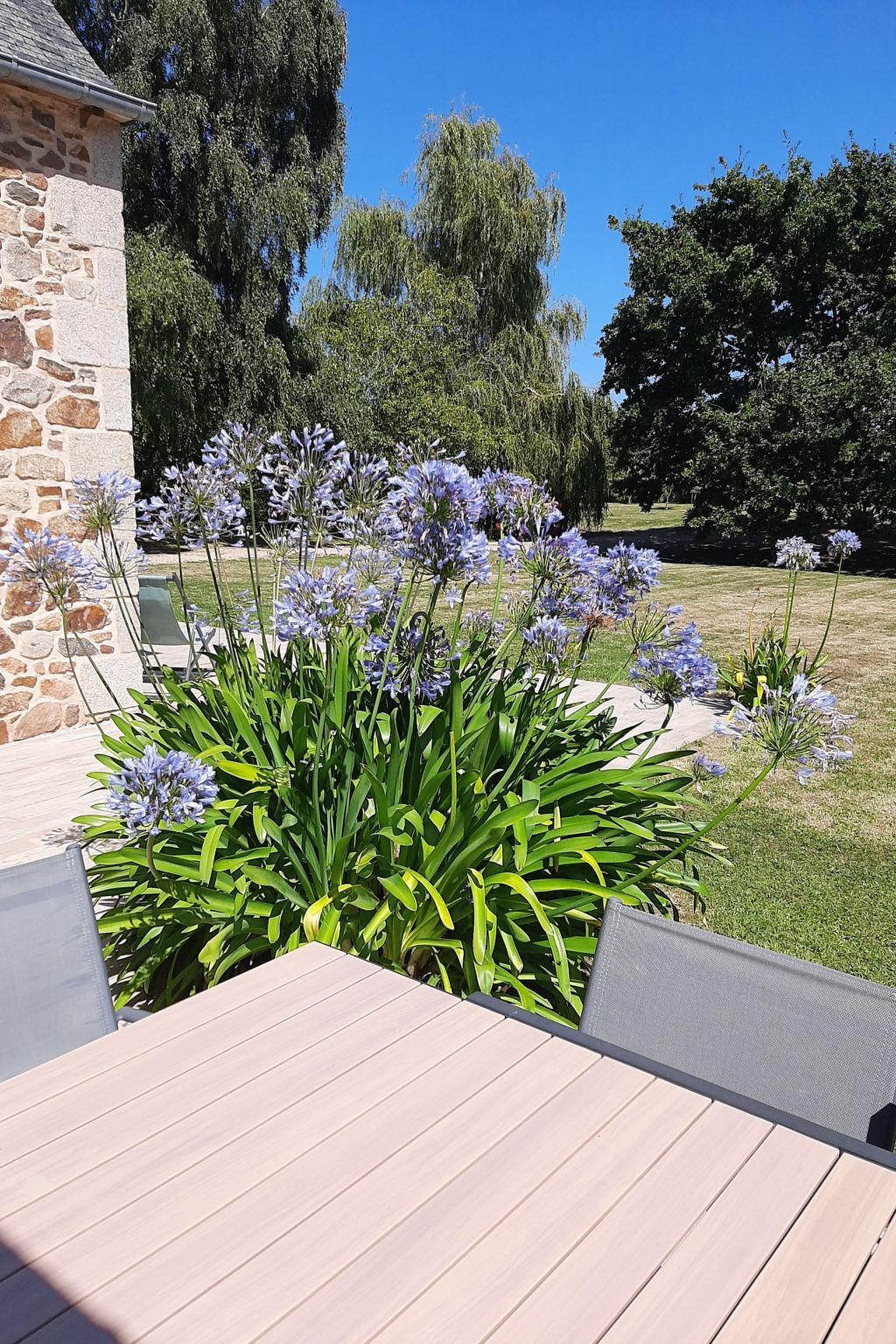 La Longère d'Armor – Maison pierre XVIe à 600 m de la mer - Photo 10