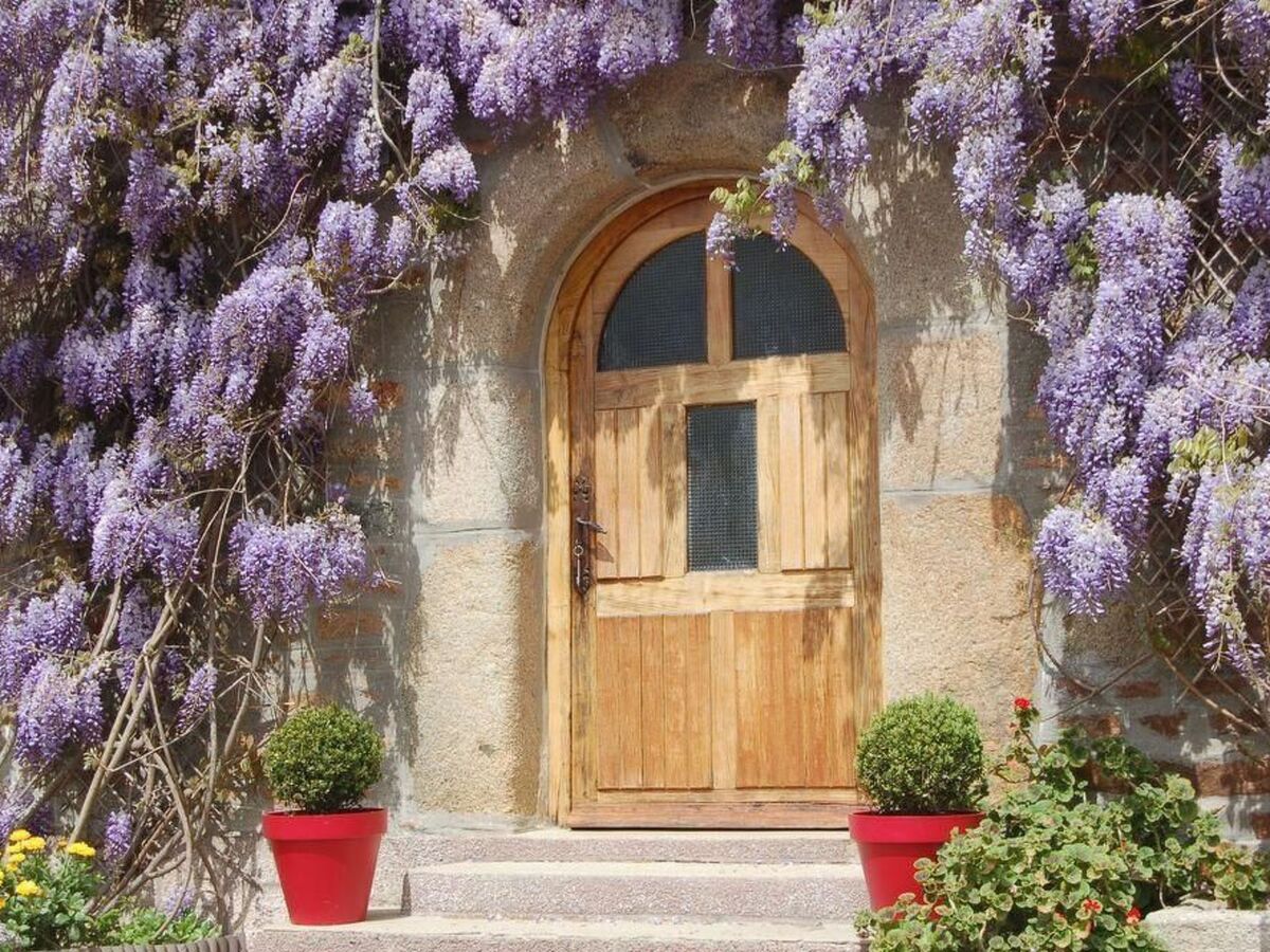 Longère en pierres de 1578, jardin 400m² à Lézardrieux - Photo 33