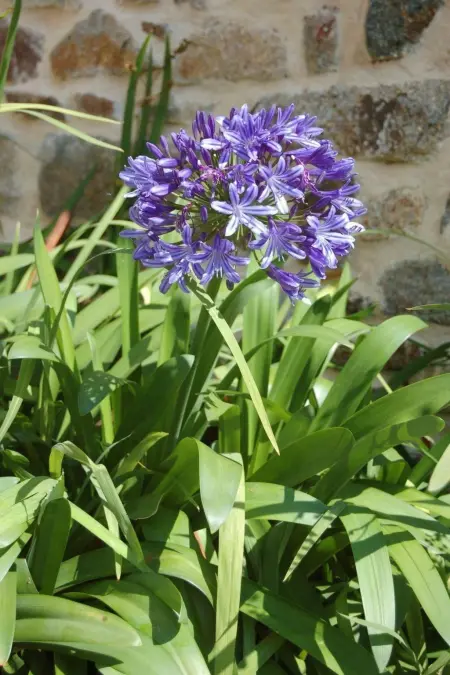 Wunderschönes Haus mit Garten in Lézardrieux, Maison 8 personnes à Lézardrieux - Photo 10