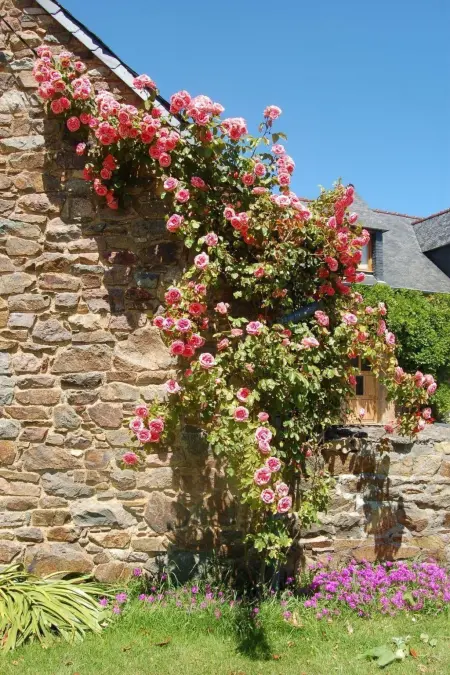 Wunderschönes Haus mit Garten in Lézardrieux, Maison 8 personnes à Lézardrieux - Photo 28