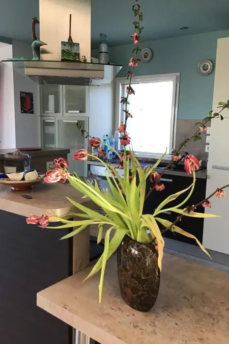 Kermajo  in Strandnähe, Maison 4 personnes à Plougastel Daoulas - Photo 19