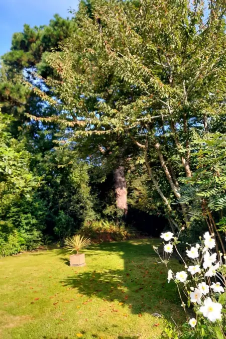 Haus auf der Halbinsel Plougastel, Maison 5 personnes à Plougastel Daoulas - Photo 12