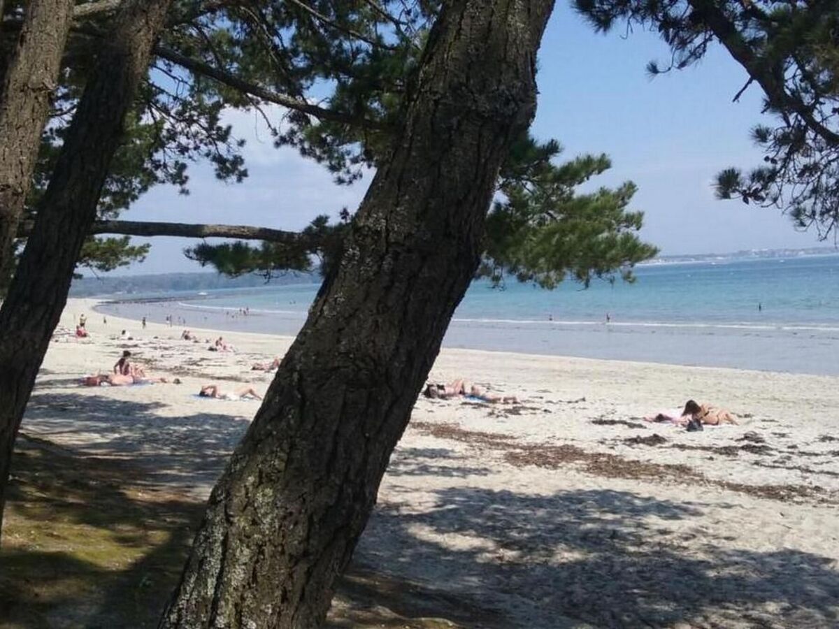 Maison neuve 6 pers. à 500 m de la plage, Fouesnant - Photo 22