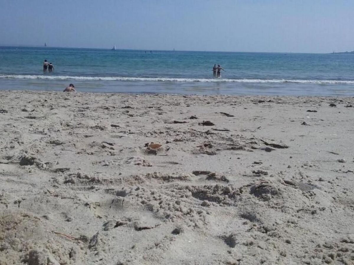 Maison neuve 6 pers. à 500 m de la plage, Fouesnant - Photo 23