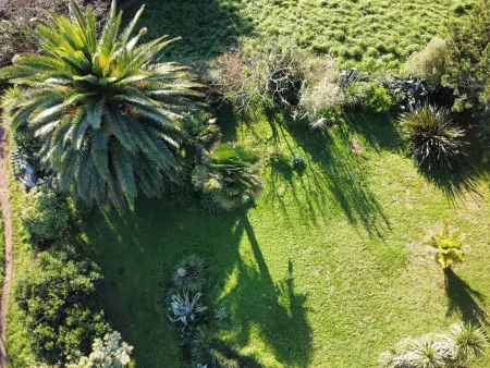 Villa TY EDEN – Maison 5 chambres, jardin tropical au Pouldu : photo 4