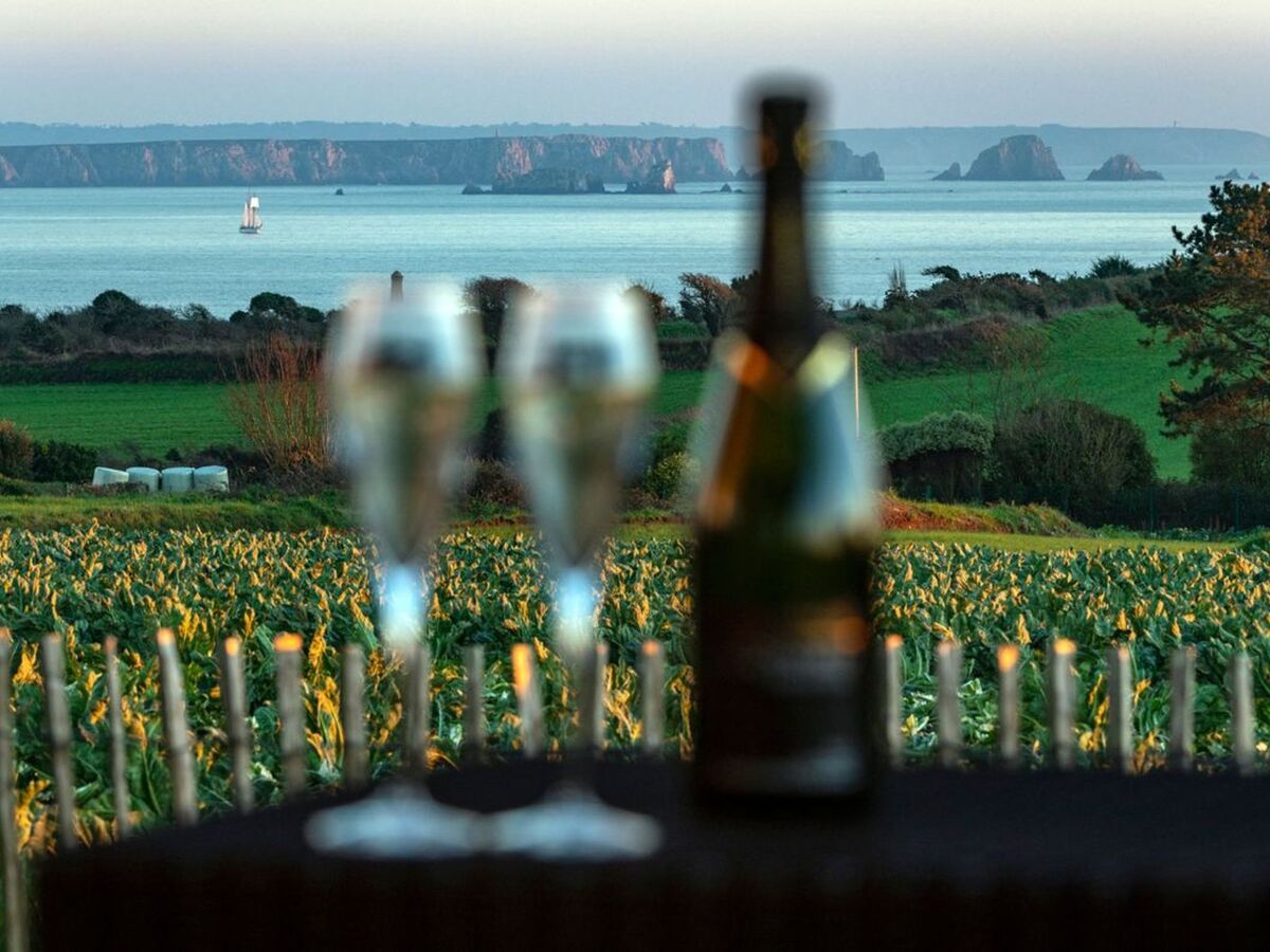 Maison vue mer avec spa privatif à Plougonvelin - Photo 9