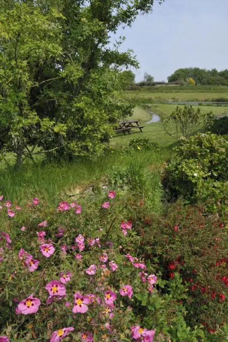 Idyllischer Landsitz mit Meerblick, Maison 8 personnes à Plouguerneau - Photo 13