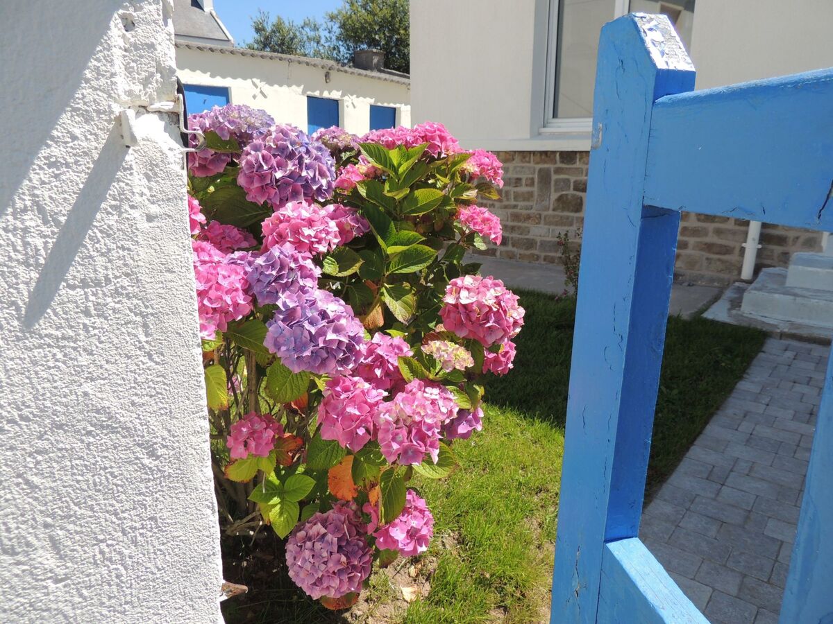Maison 120m² à Plouguerneau, port et plage à 200m - Photo 7
