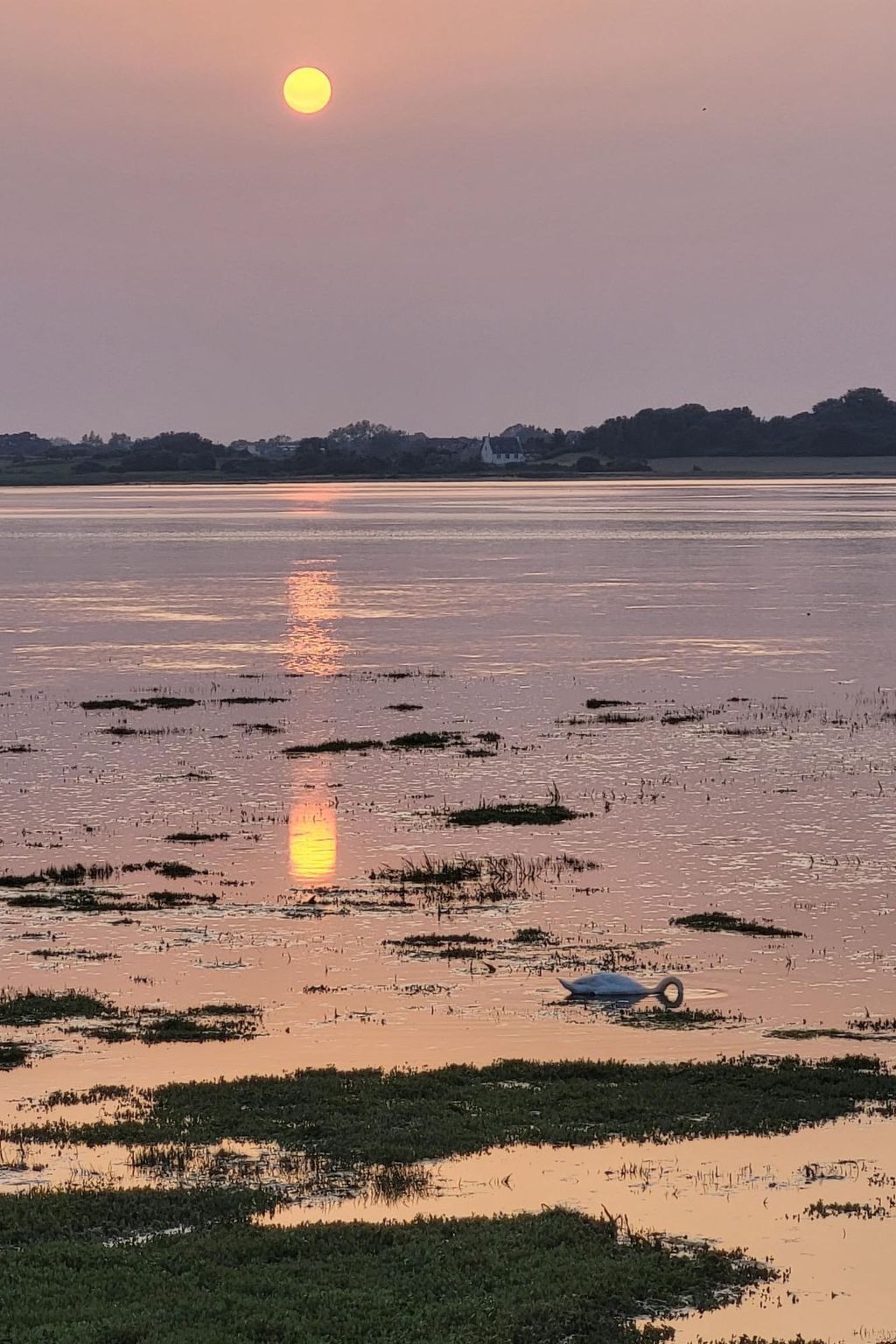 Les Gites d'Aline – Maison 5 pers. à 200m de la plage - Photo 14