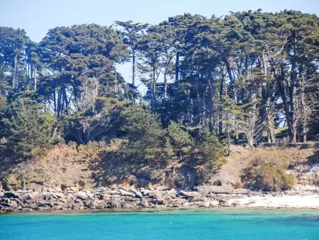 Maison sur la dune à Santec, accès direct plage : photo 46