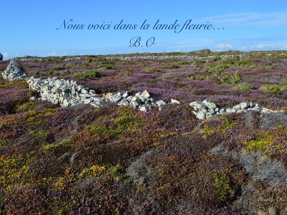 Penty breton rénové pour 2 à Plogonnec - Photo 30
