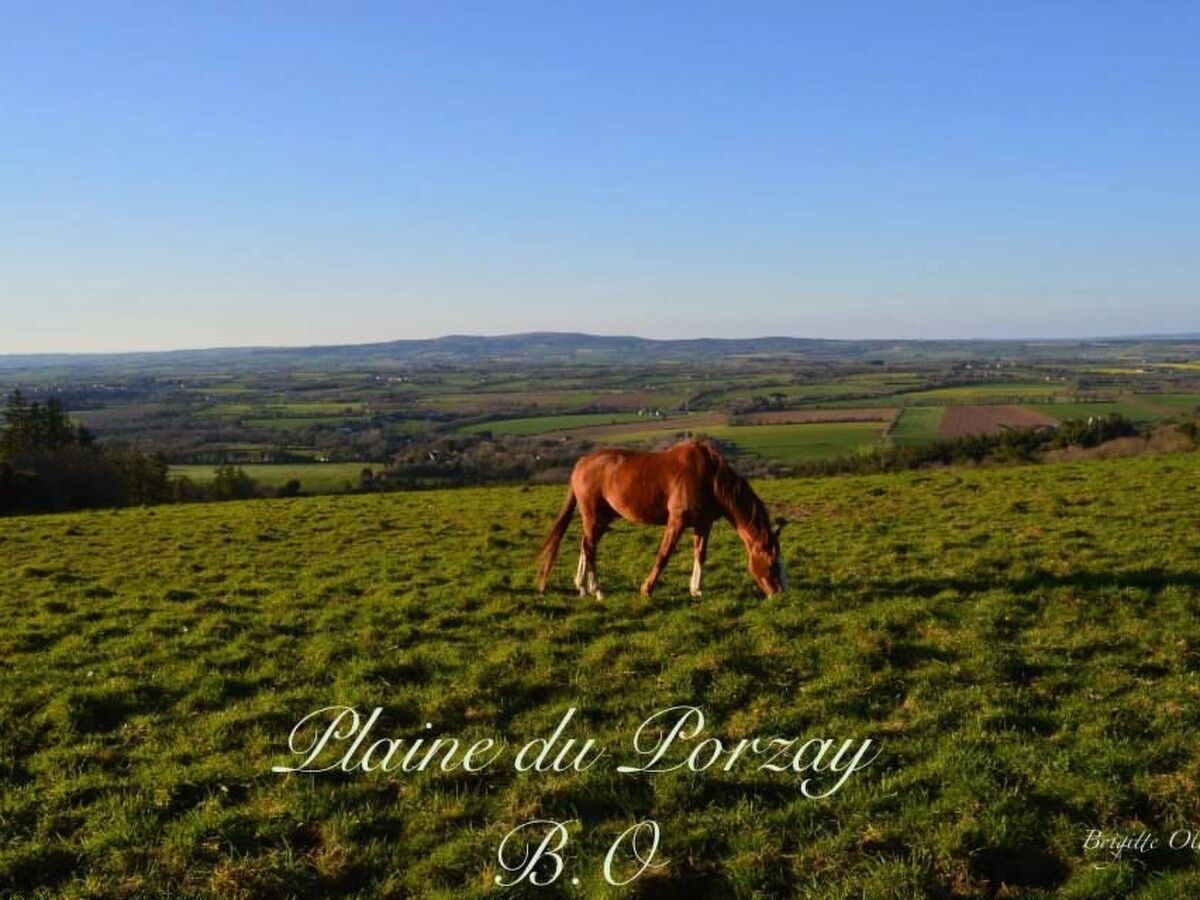 Penty breton rénové pour 2 à Plogonnec - Photo 43